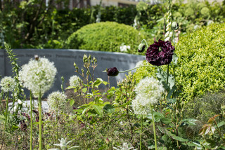 A Scented Garden Designed to Lift the Spirit (10 photos)