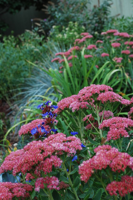 Fall Is Calling: What to Do in Your October Garden (10 photos)