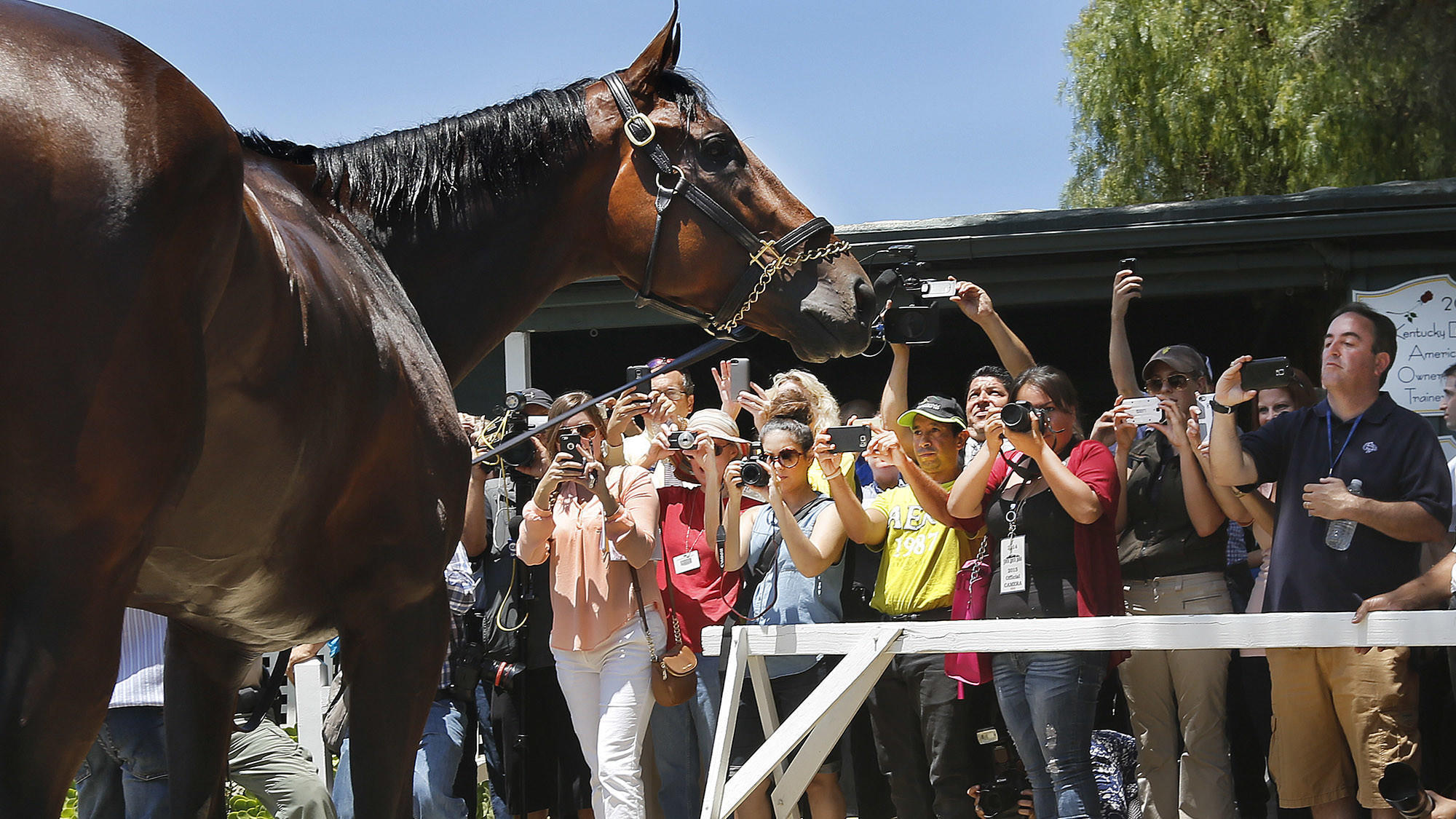 Neighborhood Spotlight: Arcadia's historic, scenic racetrack gives it a leg up