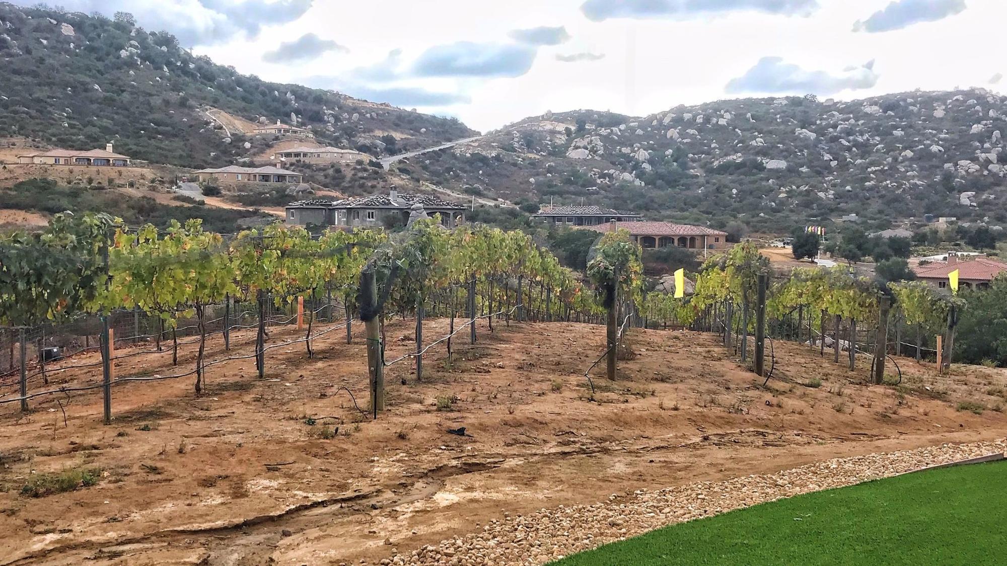 These homes come with your own vineyard