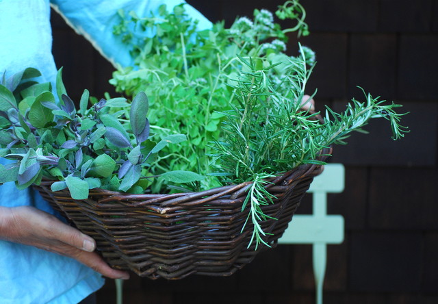 Extreme Herb Gardening for Extreme Flavor (7 photos)